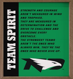 Team Spirit University Of North Dakota